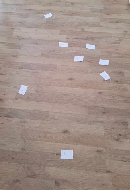 Constellation familiale individuelle à distance